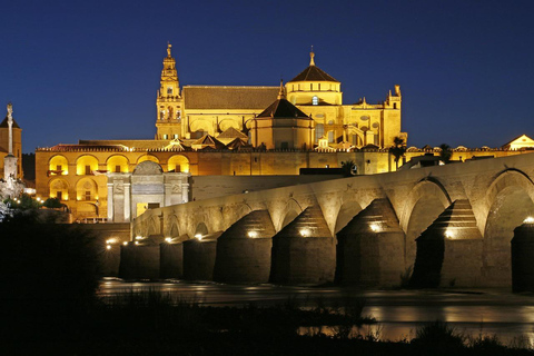 Sevilha: viagem em minibus privado para Córdoba para pequenos gruposSevilha: viagem de microônibus particular para Córdoba para grupos pequenos