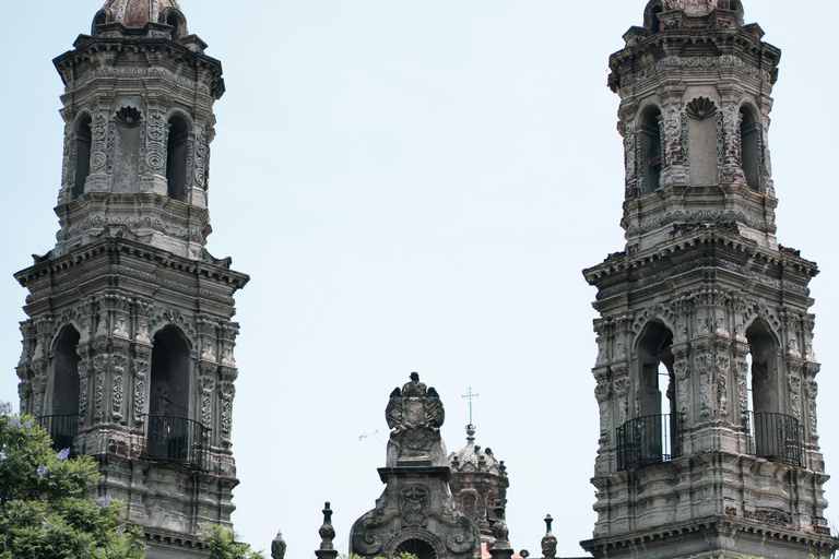 Mexico City's Historic Downtown: Walking Tour with a Professional Local Guide German