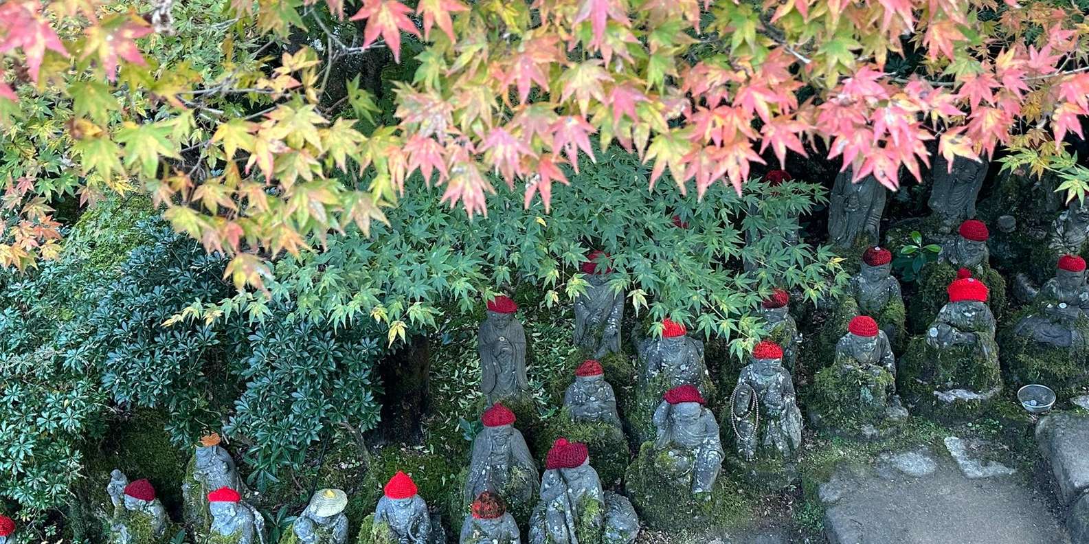 Hiroshima Miyajima tour — Peace Memorial and Miyajima Island — image 68
