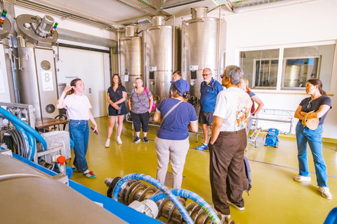 Florença: Fiesole E-Bike Tour com prova de azeite