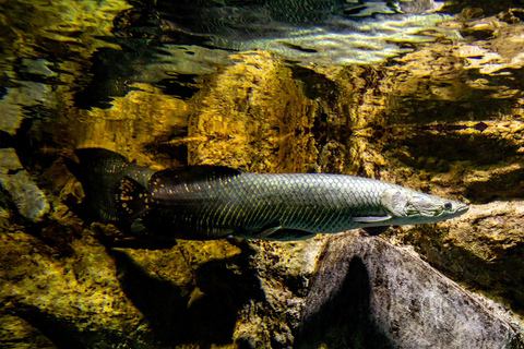 Medellín: Entry to Parque Explora