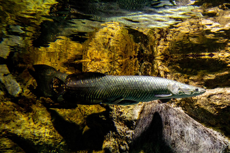 Medellín: Entry to Parque Explora
