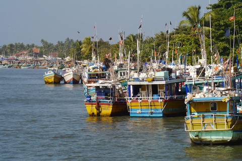 Negombo City Tour: Culture, Markets & Local Life: By Tuk tuk