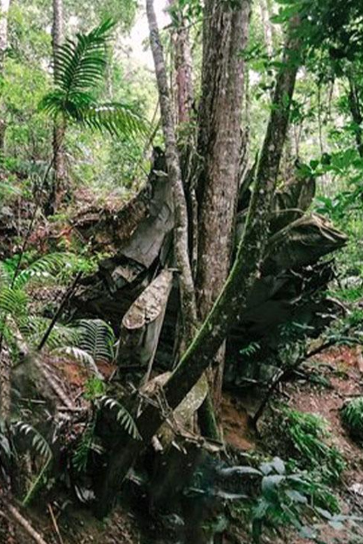 Colagem de mídia