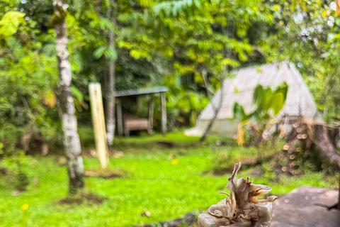 Bocas del Toro: Isla Cristóbal Cacao Farm Tour with Lunch