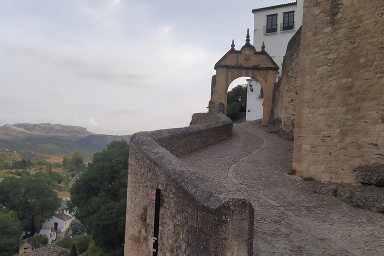 From Torremolinos: Ronda and Setenil de las Bodegas Day Trip