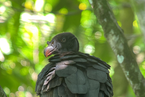 Corcovado National Park: One-Day Tour from Puerto Jimenez!