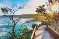 North Stradbroke Island, Day Trip with Wildlife & Beach Time - Housity