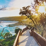 Brisbane to North Stradbroke Island Day: Wildlife & Beaches