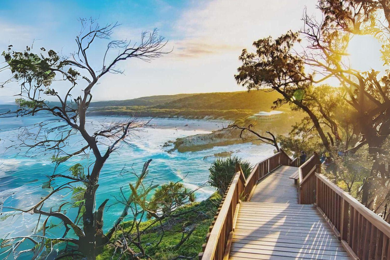 Isola di North Stradbroke: Escursione di un giorno con la fauna selvatica e la spiaggia8:30 YHA Brisbane City Servizio di prelievo