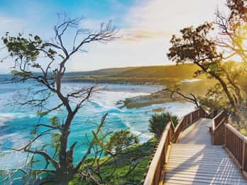 North Stradbroke Island: Whales, Wildlife & Beaches Day Trip