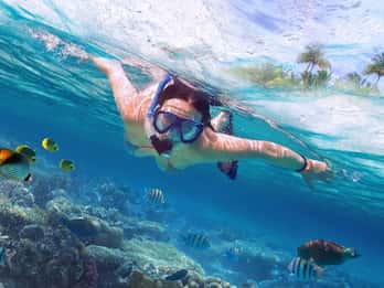Bali Excursión al Atardecer en Lovina con Experiencia de Snorkel