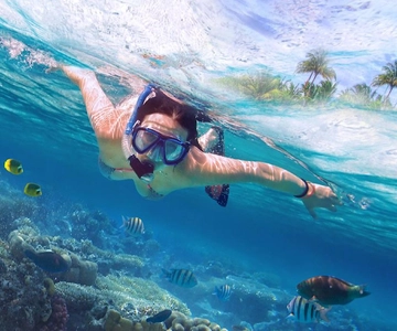 Bali: Lovina Sunset Tour with Snorkeling Experience