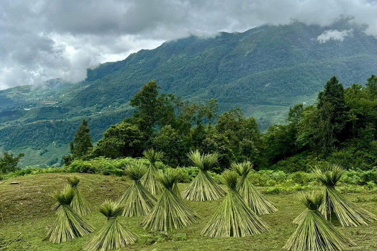 Ruta de un día por Sapa: Terrazas de arroz y pueblos étnicos