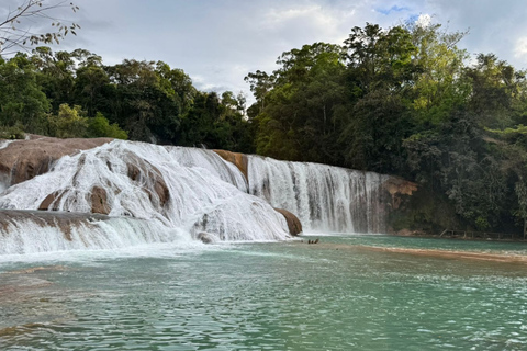 Visit to Agua Azul and Misol-Ha with lunch included Visit Agua Azul and Misol-Ha with Lunch Included