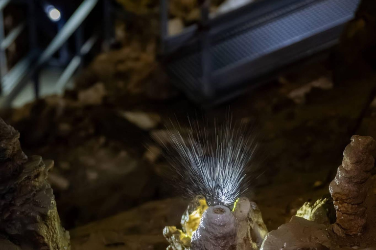 From Brasov: Slanic Salt Mine and Rasnov Cave + Tickets Private Tour – Entry Tickets Included