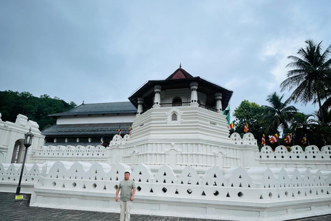 From Trincomalee: Kandy Transfer with Nalanda Gedige Stop