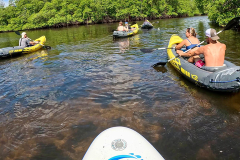 Ft Lauderdale: Combo Deal Snorkel Reefs, Kayak/SUP Mangroves