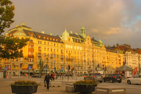 Stockholm: Art, Architecture & Design Tour 私人中文导游