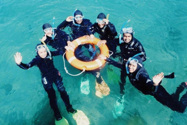 Portsea: Guided Snorkeling Tour with Weedy Sea Dragons