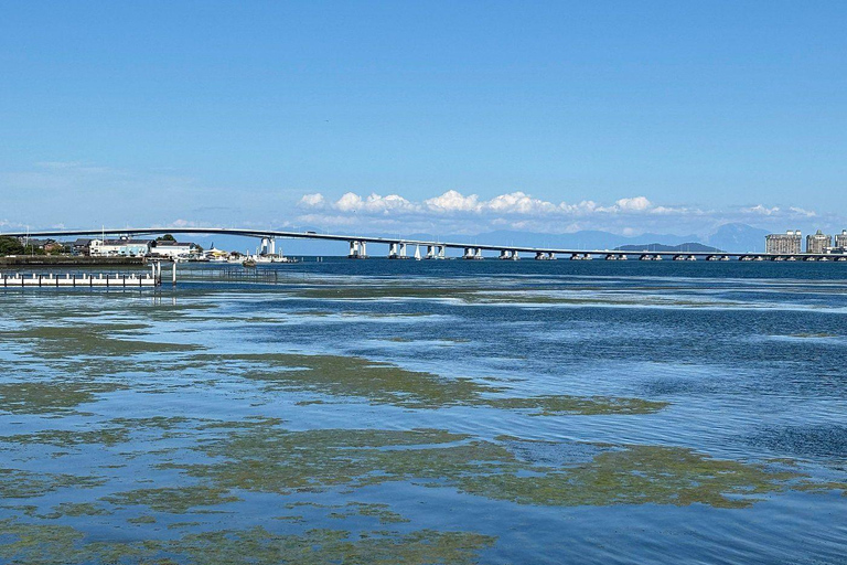 Nara: passeio ao entardecer com caligrafia e lanternasNara: caminhada ao entardecer com caligrafia e lanternas