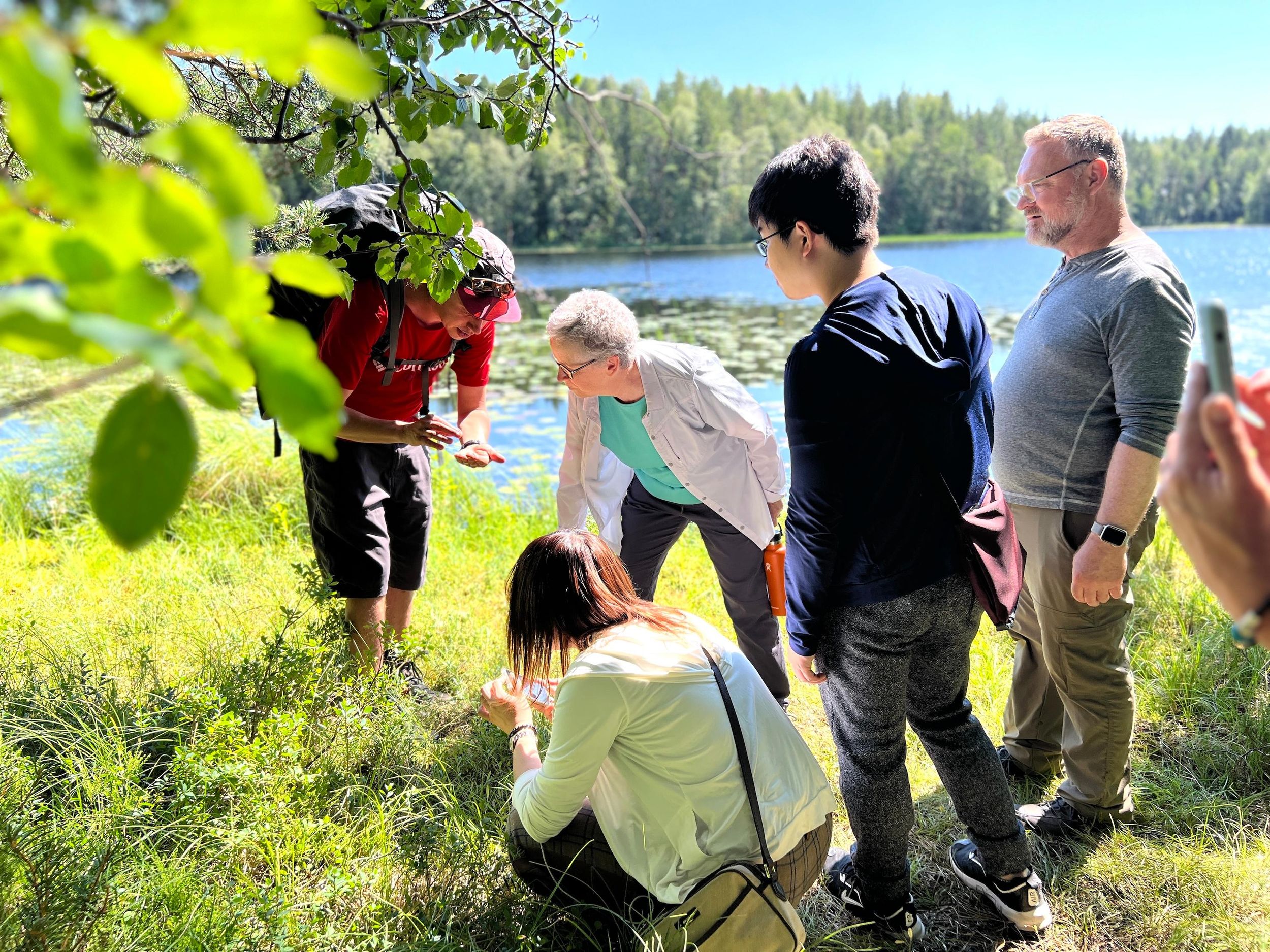 Von Helsinki aus: Magische Taiga-Wanderung im Liesjärvi-Nationalpark