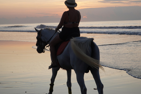 Bali : Randonnée à cheval sur la plage de BaliEquitation Plage 30 minutes Pas de transport