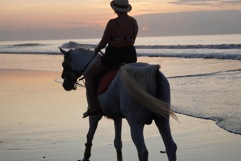 Bali: Experiência de cavalgada na praia de BaliPasseio a cavalo na praia 30 minutos Sem transporte