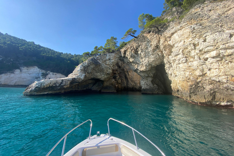 Vieste: Boat tour of the Gargano coast