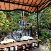 Ubud Private Day Tour: Swing, Glass Bridge & Pohgading Cafe Ubud Private Day Tour: Swing, Glass Bridge & Pohgading Cafe