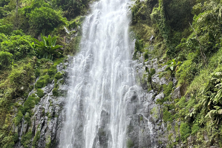 Moshi: Materuni waterval en koffietour met lokale lunch