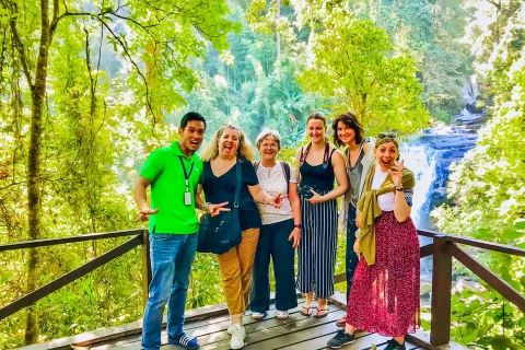 Doi Inthanon : excursion en petit groupe au parc nationalVisite en petit groupe sans les frais d'entrée