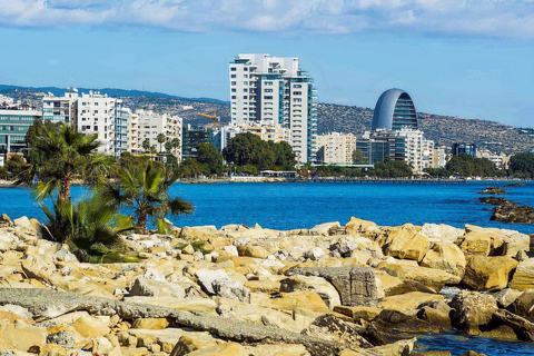 Limassol: tour per crocieristi, olio d&#039;oliva, artigianato e panorami costieriTour per crocieristi in minibus