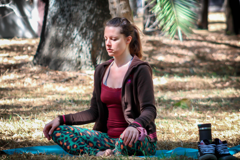 Mexico-Stad: yogales in het Chapultepec-park met klankbadMexico-Stad: yogales in Chapultepec Park met klankbad