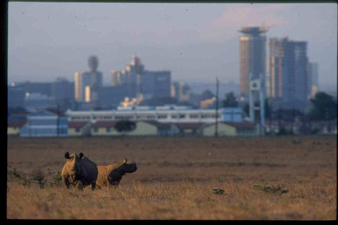 DAY TRIP NAIROBI NATIONAL PARK