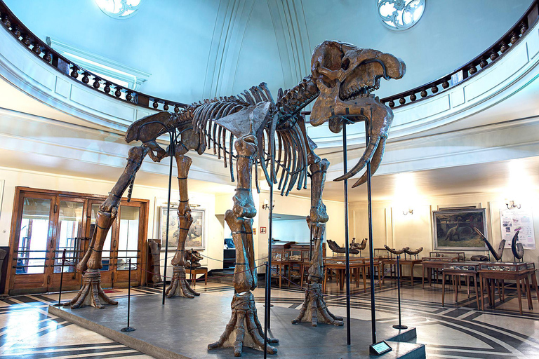 Audio Guide for Museum Paleontology and Historical Geology