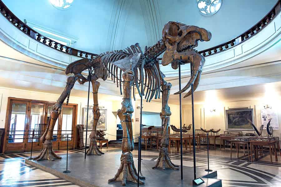 Audioguide für das Museum für Paläontologie und historische Geologie. Foto: GetYourGuide