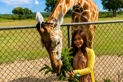 From Coron: Calauit Safari & Black Island Tour with Lunch