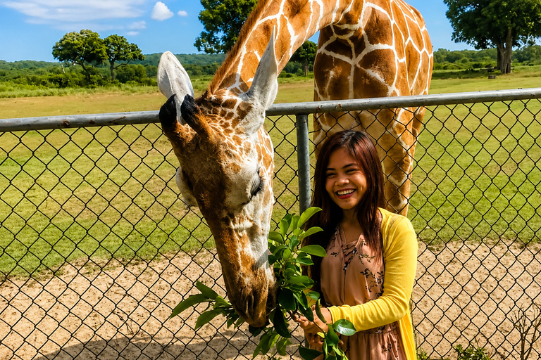 From Coron: Calauit Safari & Black Island Tour with Lunch