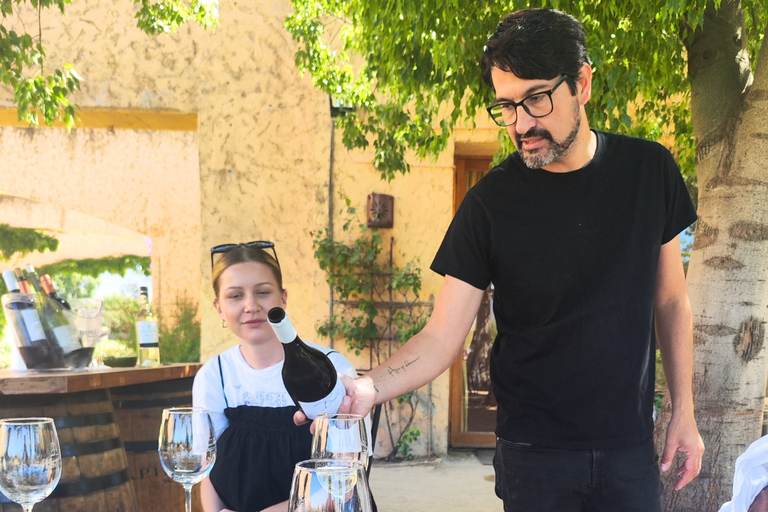 Casablanca-Valparaíso: Explore 2 vineyards with a tour, tasting, and lunch Casablanca, 2 vineyards Tour and tasting + Lunch