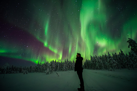 Rovaniemi: Northern Lights Tour – Guaranteed with Photos Small-Group Northern Lights Tour – Guaranteed with Photos