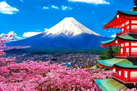 Prywatna wycieczka z przewodnikiem po górze Fuji i Hakone