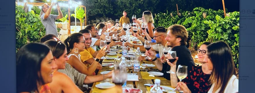 Dîner dans les vignes et dégustation de vins sous les étoiles