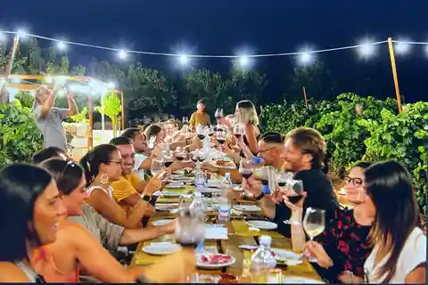 Dinner in the vineyard and wine tasting under the stars
