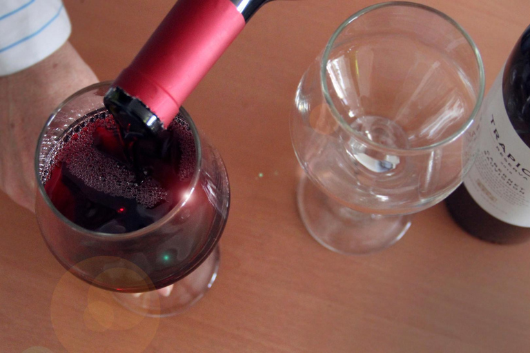 私人 Bodega Gamboa 葡萄酒品尝之旅（含午餐）布宜诺斯艾利斯的私人导游