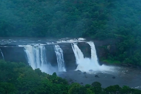 Kochi: Athirappilly Waterfalls Overnight Tour with Transfer