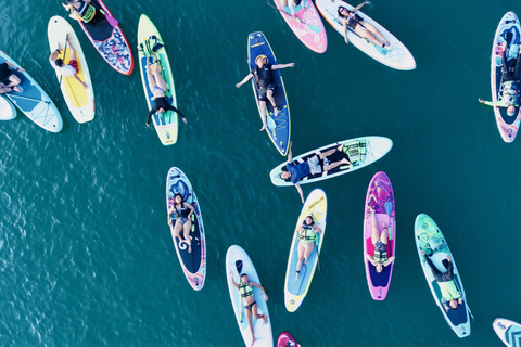 Cartagena: Sunrise Paddleboarding Tour with Photos & Videos