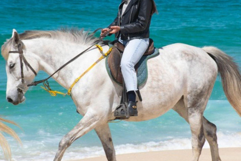 Melides: Ridning på Melides Beach