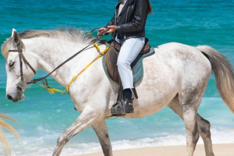 Melides: Ridning på Melides Beach