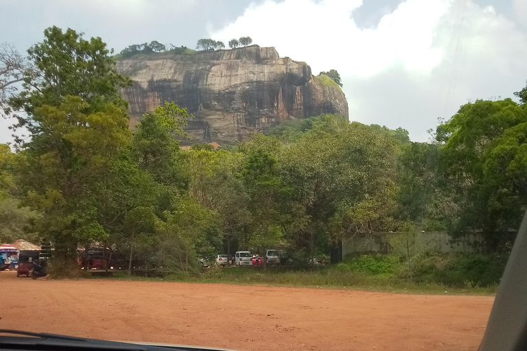 Safári pela cidade: Cinco dias de descobertas